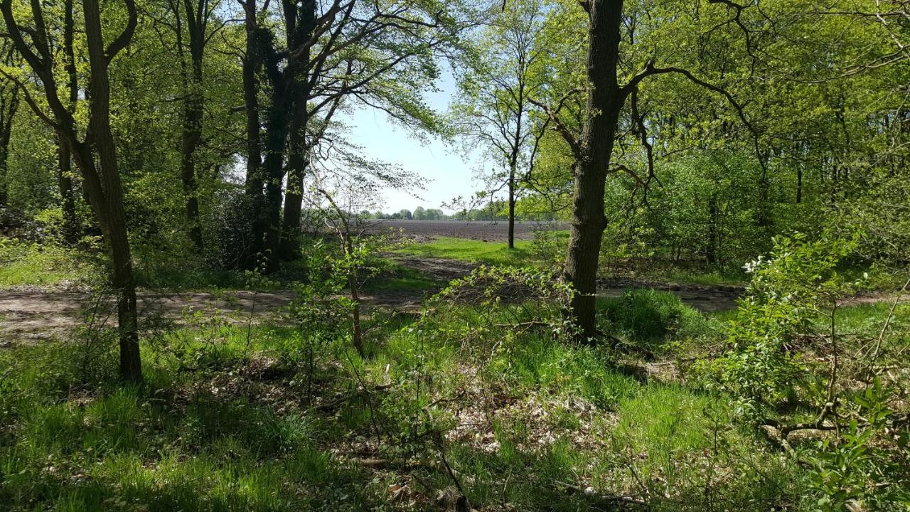 Chalet Drenthe Villa Schoonloo Esterno foto