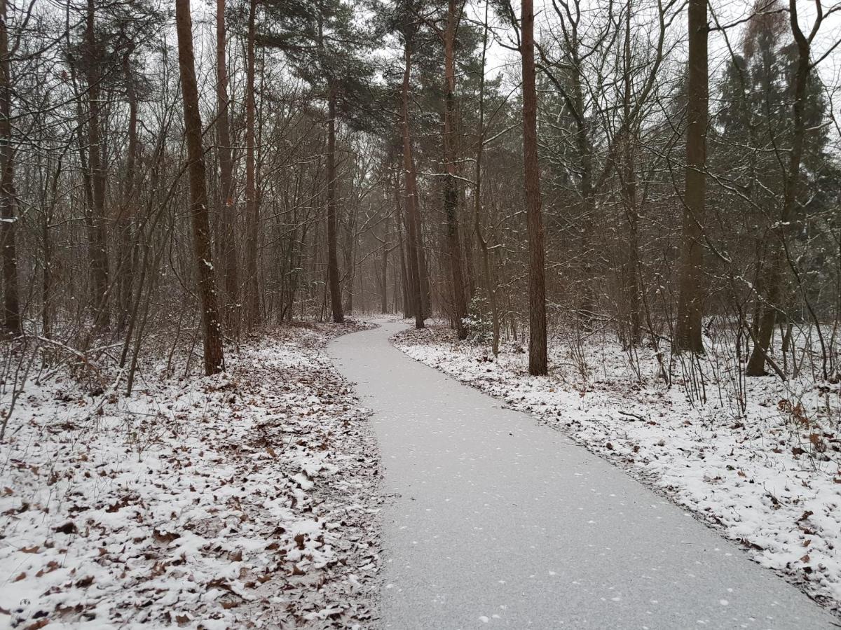Chalet Drenthe Villa Schoonloo Esterno foto